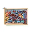 Picture of Magnetic Lacing Box Toy Set - Vegetables, Fruits, Vehicles, Animals, Fish