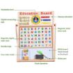 Picture of Multi-Purpose Magnetic Education Board (17 X 14 inch)