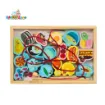Picture of Magnetic Lacing and Fishing Box Toy Set - Vegetables, Fruits, Vehicles, Animals, Fish (Per Variation)
