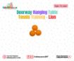 Picture of Doorway Hanging Table Tennis Training - Lion