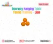 Picture of Doorway Hanging Table Tennis Training - Lion