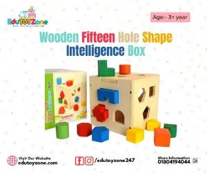 Wooden Fifteen Hole Shape Intelligence Box
