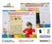 Picture of Multi-Purpose Magnetic Education Board(25" x 18" size) With Bangla