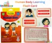 Picture of Human Body Learning Flash Card QUALITY