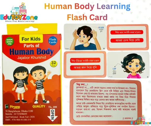 Picture of Human Body Learning Flash Card QUALITY