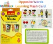 Picture of Opposite Words Learning Flash Card QUALITY