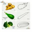 Picture of Bangla English Written Vegetable  Flash Card - Quality Version